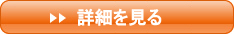 詳細を見る